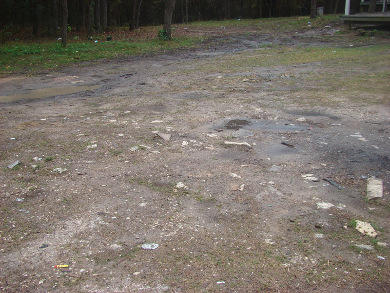 DSC01768