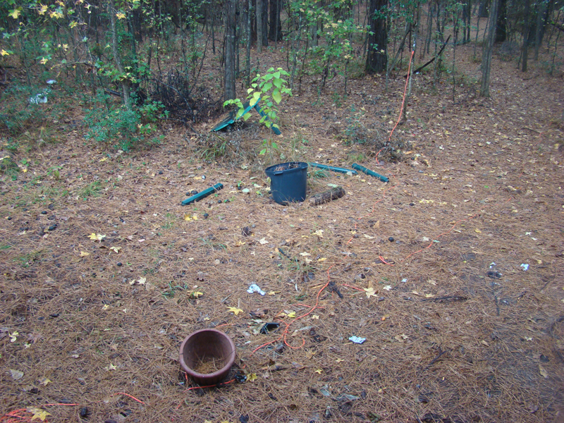 DSC01779
