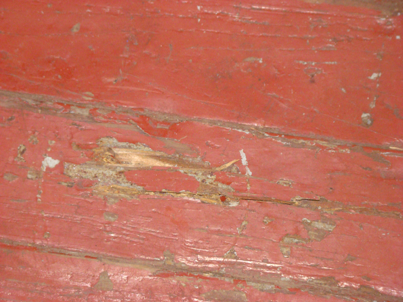 DSC01781