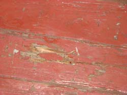 DSC01781
