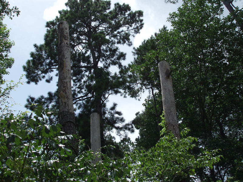 P6260057