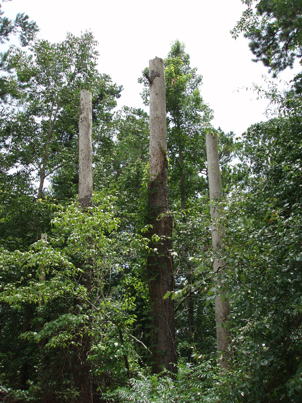 P6260058