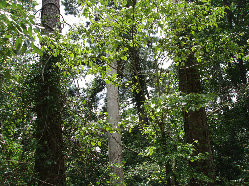 P6260059