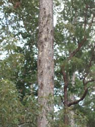 P1010135
