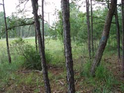 P6260046
