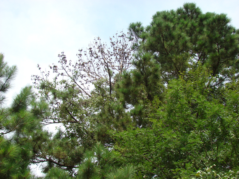DSC00030