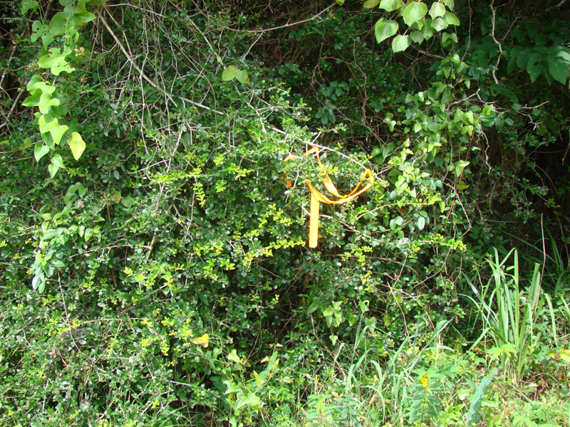DSC00032