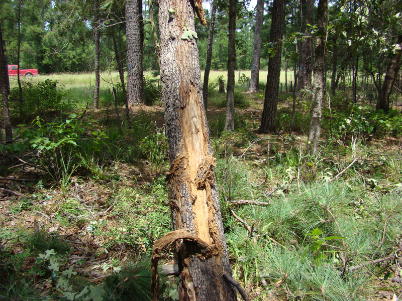 DSC00071