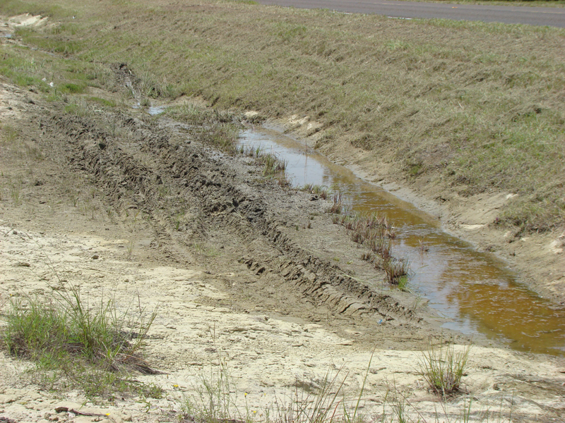 DSC00124
