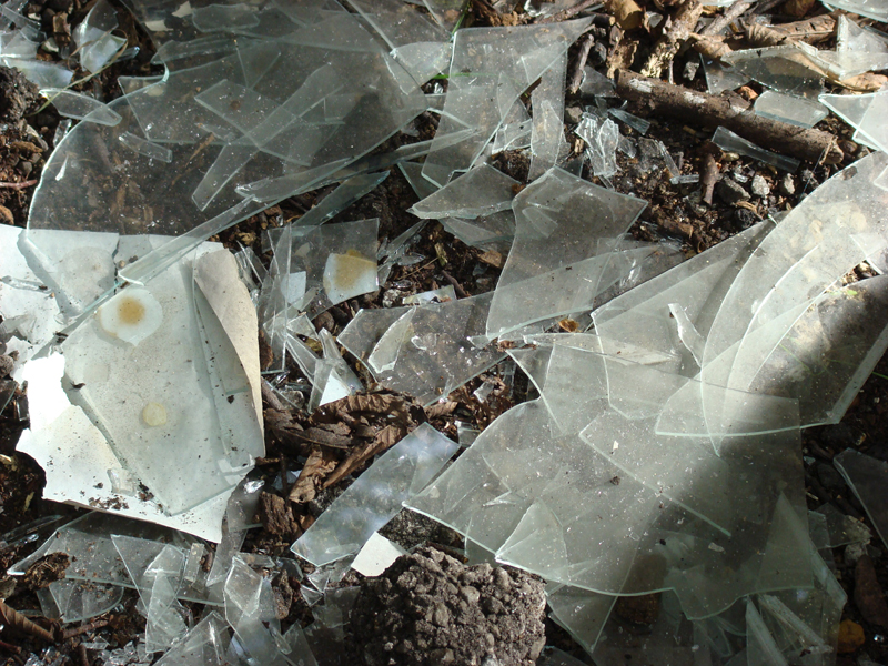 DSC00211