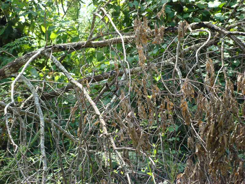 DSC00291