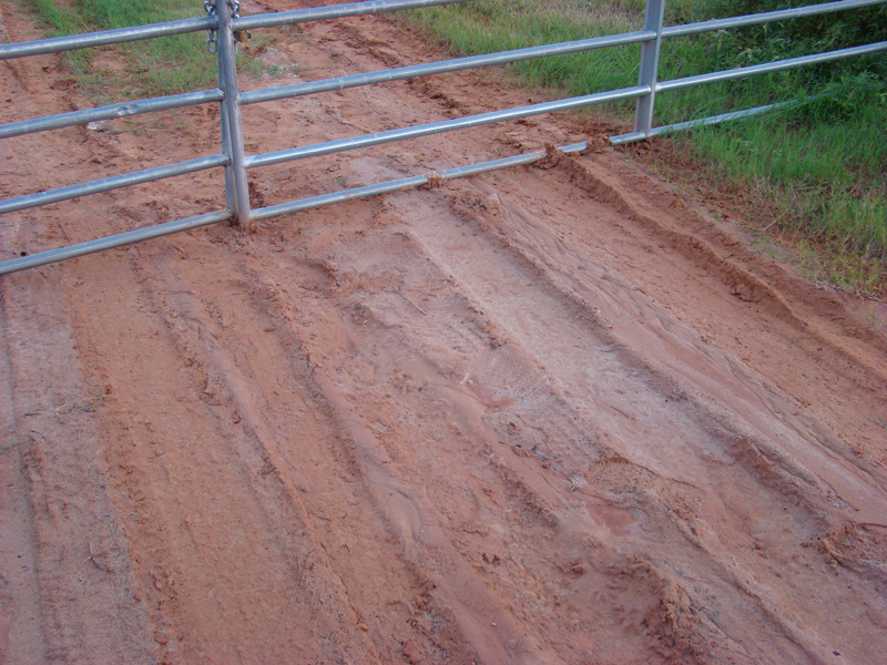 DSC00351