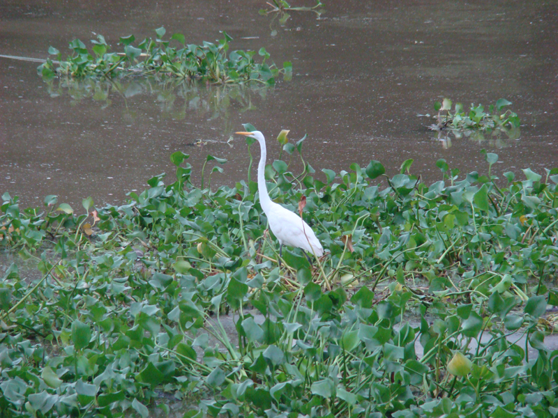 DSC00410