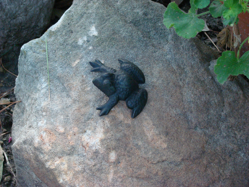DSC00450