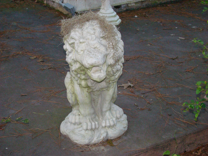 DSC00492
