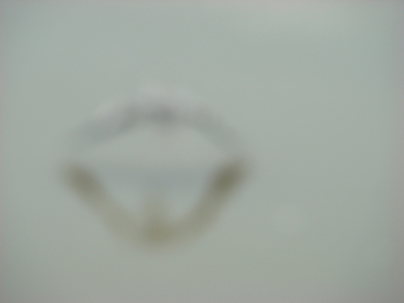 DSC00527