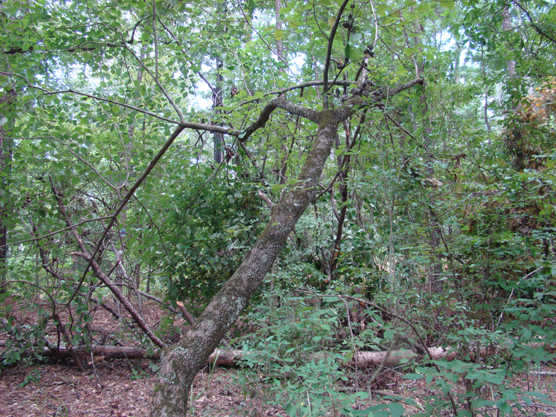 DSC00567