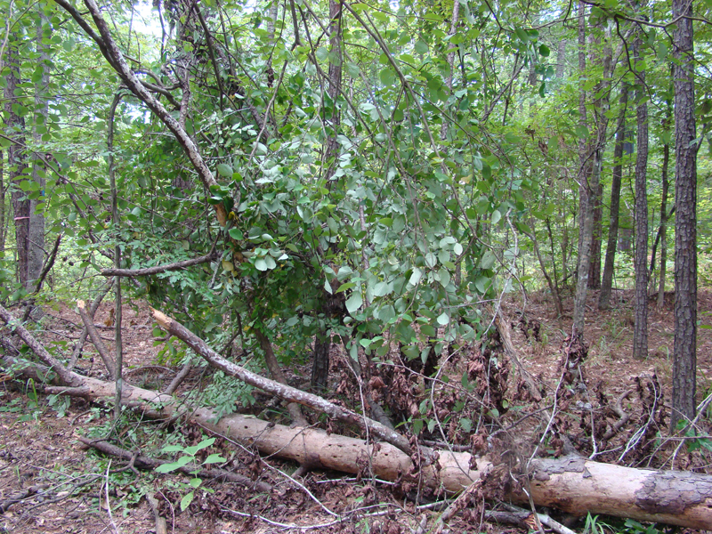 DSC00569