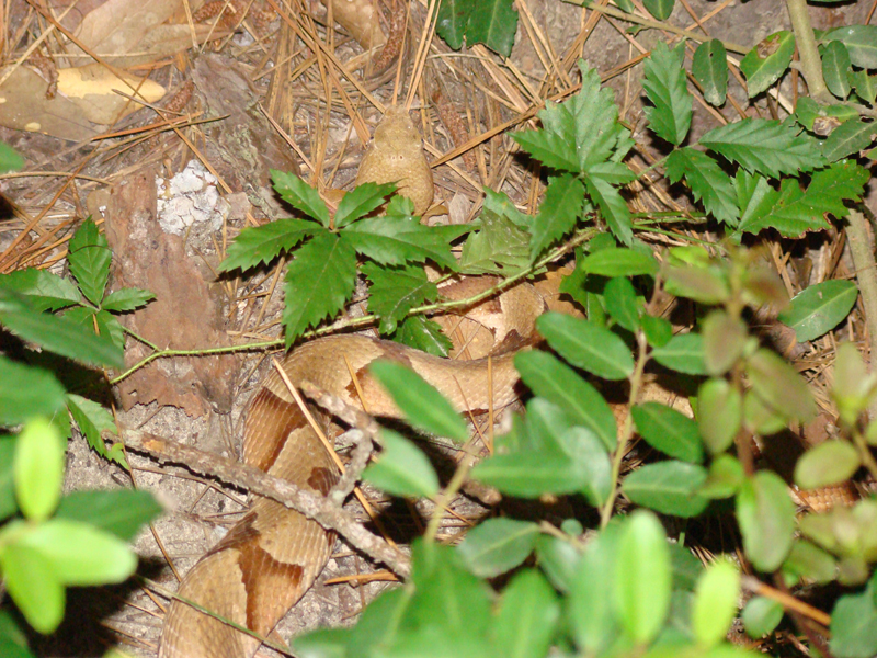DSC00588