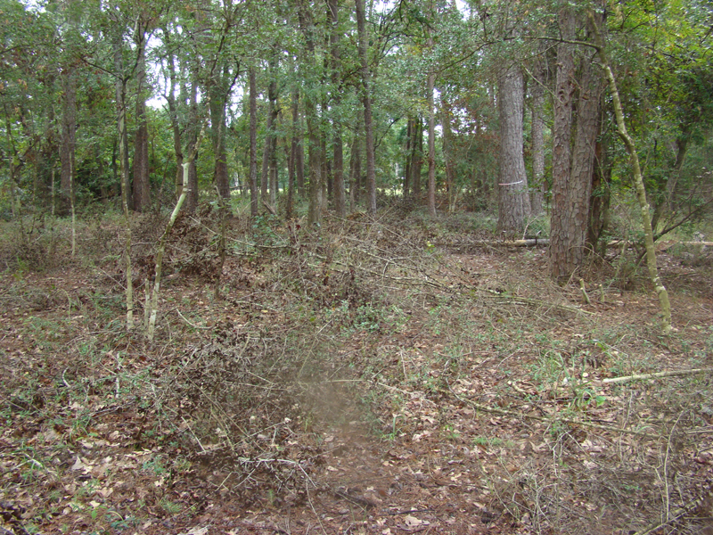 DSC00703