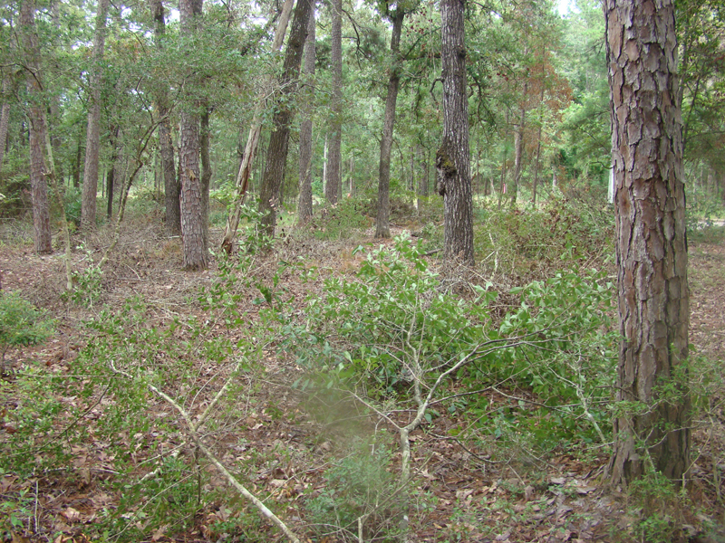DSC00704