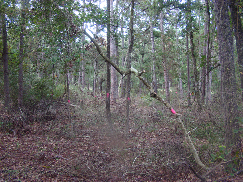 DSC00708
