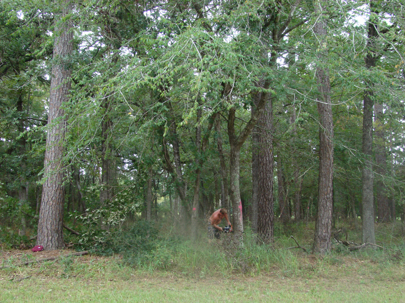 DSC00721