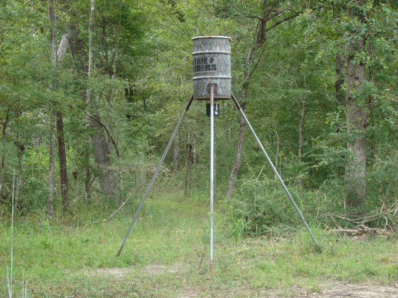DSC00731