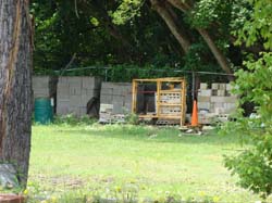 DSC00226