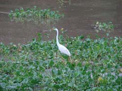 DSC00410