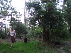 DSC00475