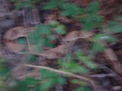 DSC00585