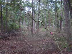 DSC00708