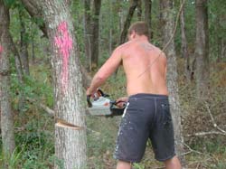 DSC00722