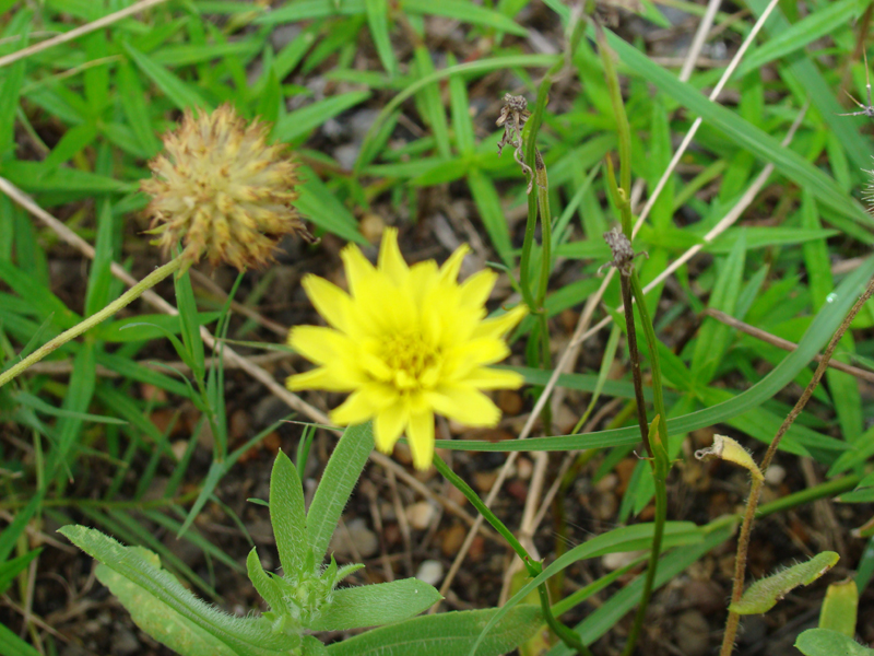 DSC00048