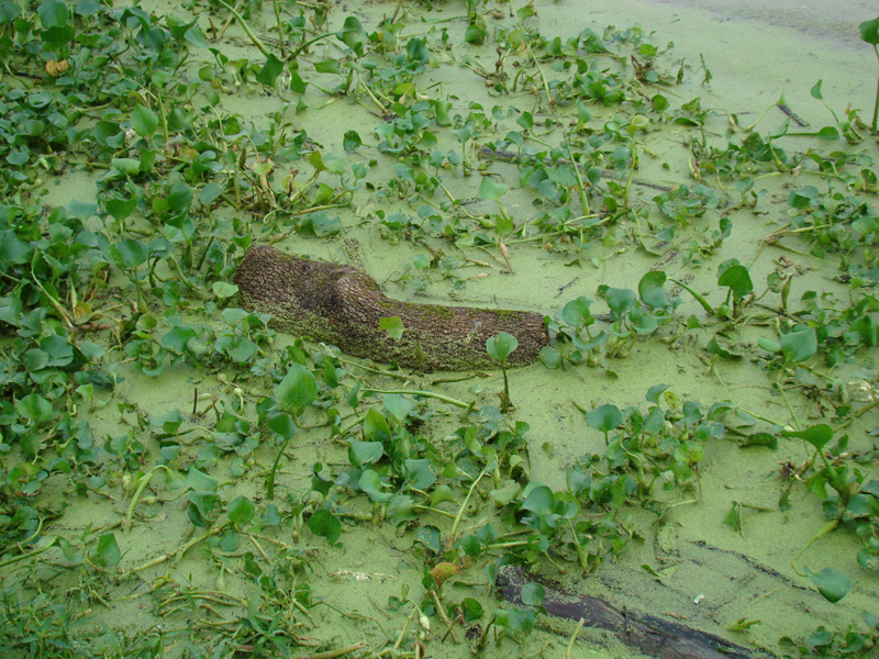DSC00160