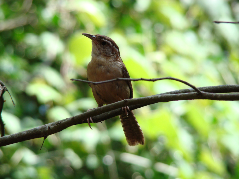 DSC00176