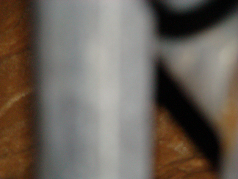 DSC00194