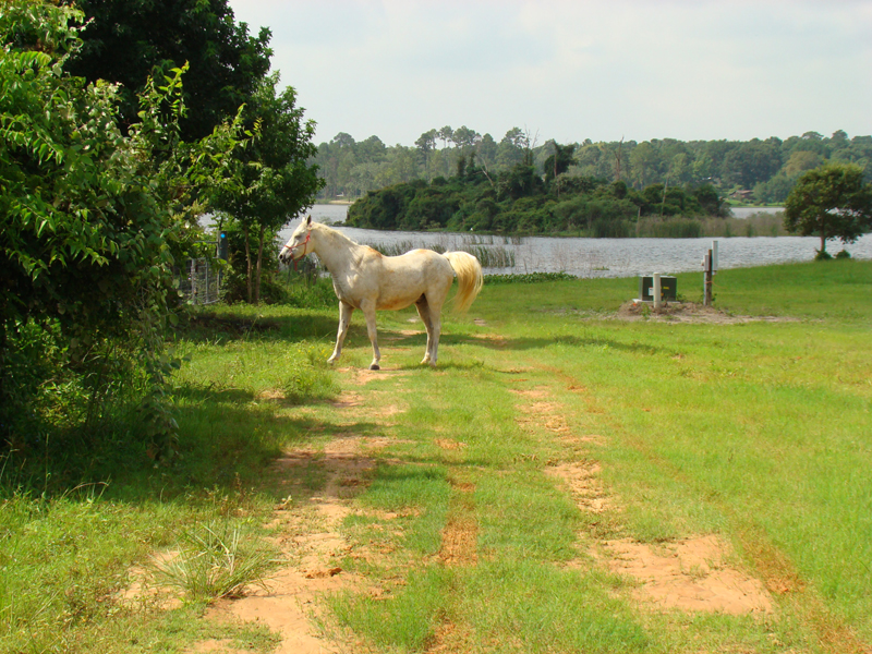 DSC00201