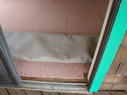 DSC00117