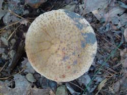 DSC00137