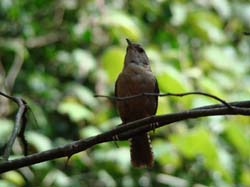 DSC00175