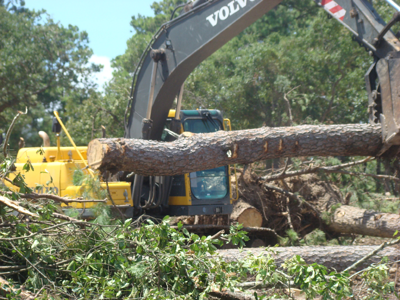 DSC04748
