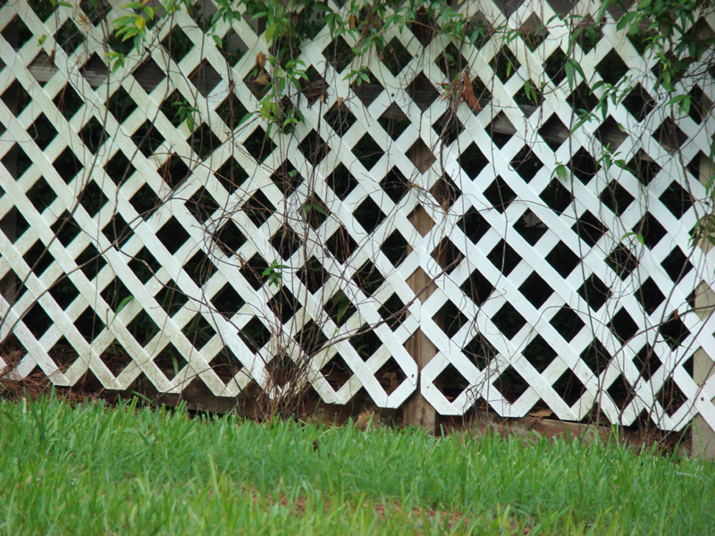 DSC05081