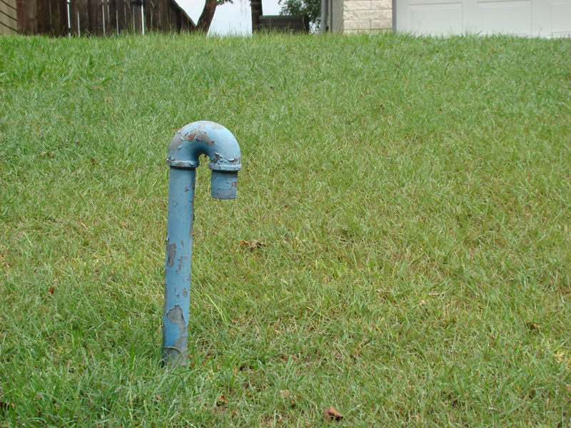 DSC05203