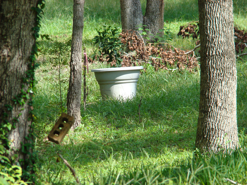 DSC05468