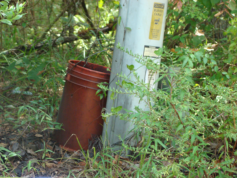 DSC05582