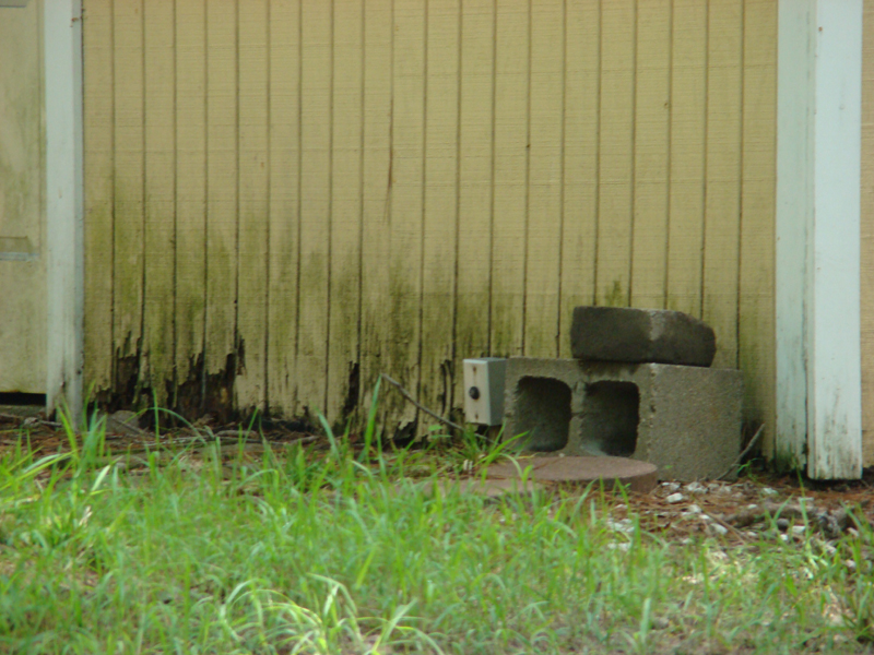 DSC05643