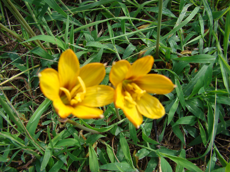 DSC05810