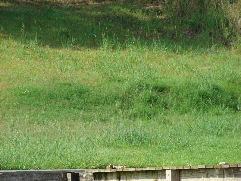 DSC05861